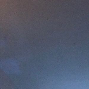 Meet your Posher, Nyree